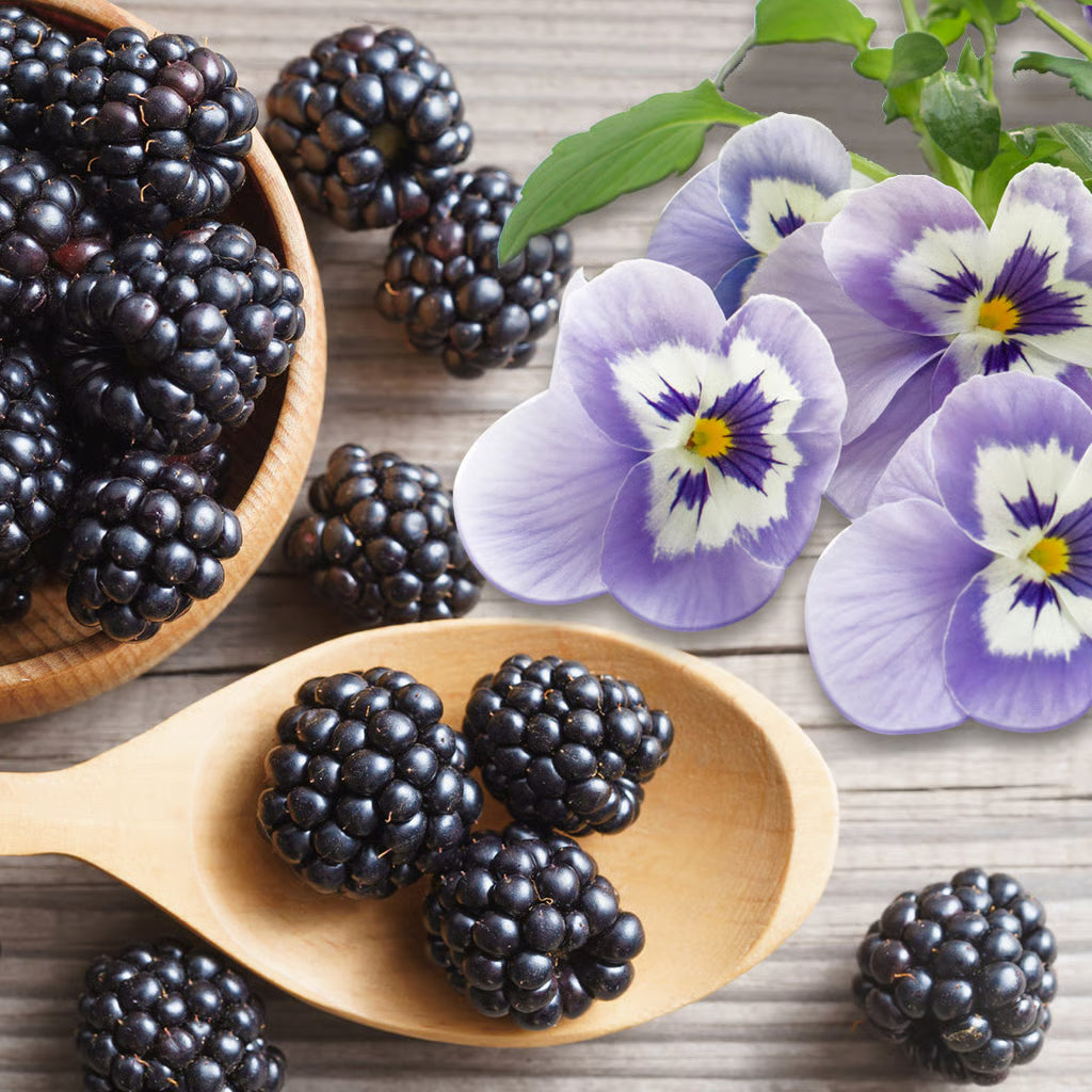 The S Collection Shower Gel Blackberry & Patchouli - 1000ml | ذا اس كوليكشن جل الاستحمام برائحة التوت البري والباتشولي - 1000 مل