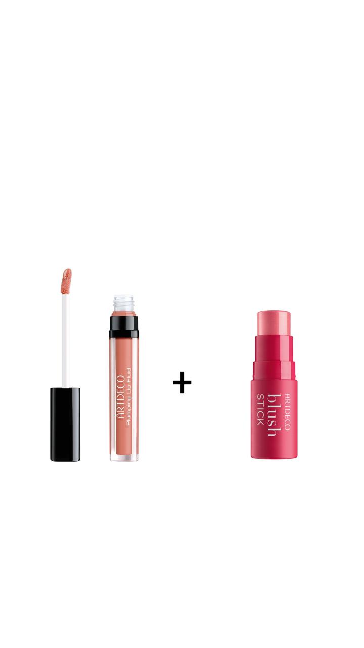 ARTDECO Lip Fluid & Stick | ارديكو سائل شفاه وبلش ستيك