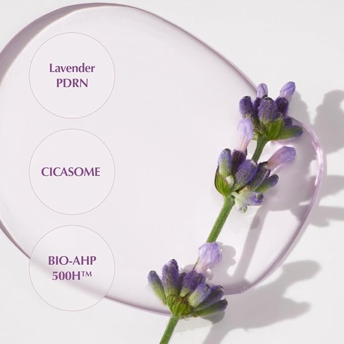 KAINE Lavender PDRN Revitalizing Toner - 300ml | كاين تونر لافندر PDRN لتجديد البشرة – 300 مل