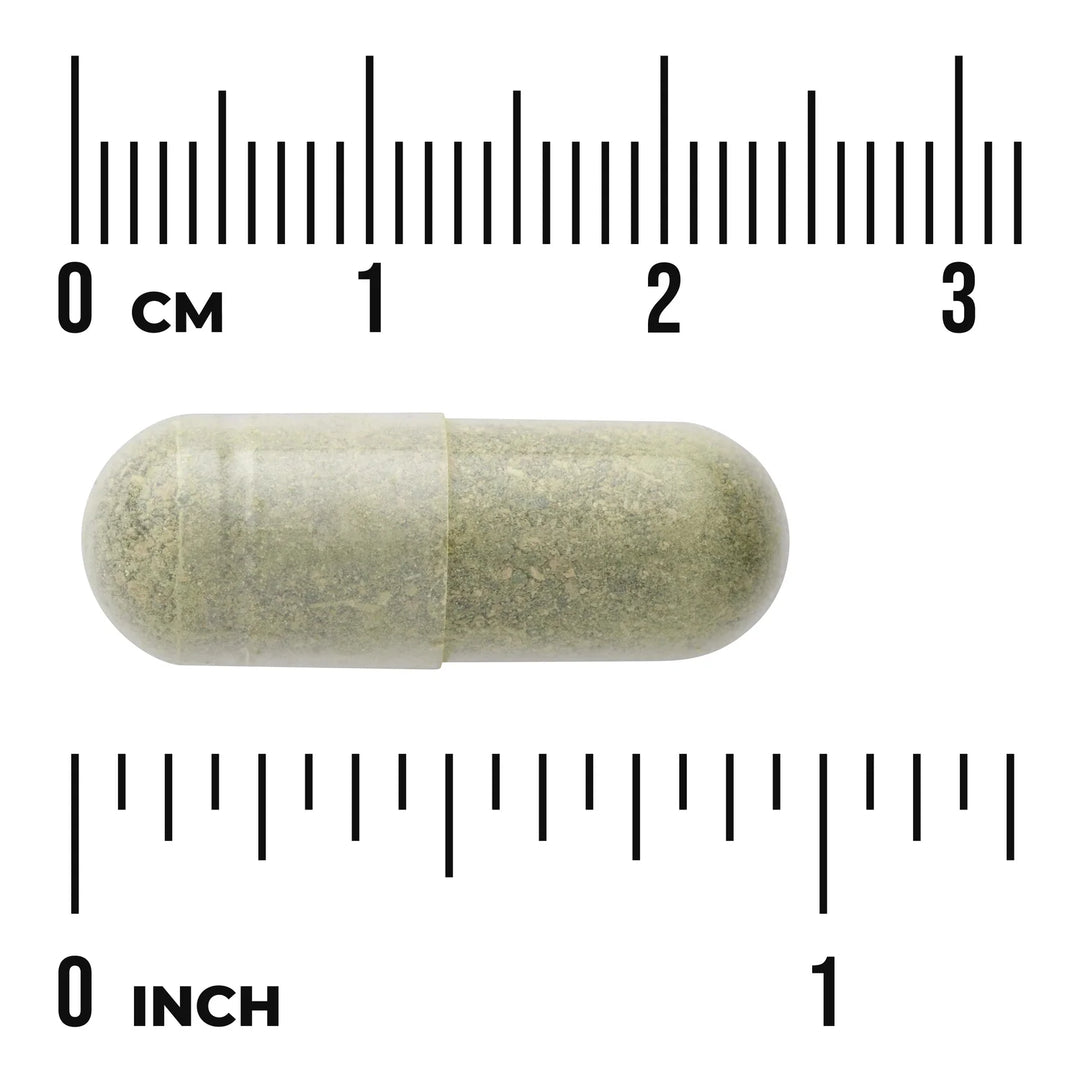 SWANSON Neemblatt 500 mg 100 Capsules | سوانسون كبسولات أوراق النيم 500 مغ - 100 كبسولة
