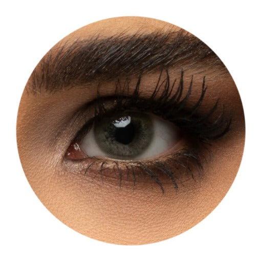 Muse By Turquaz Contact Lenses 1+1 | توركواز عدسات لاصقة 1+1