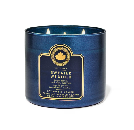 Bath & Body Works Soy Wax Blend Candle - 411g | باث اند بودي وركس شمعة ألف أمنية - 411غ