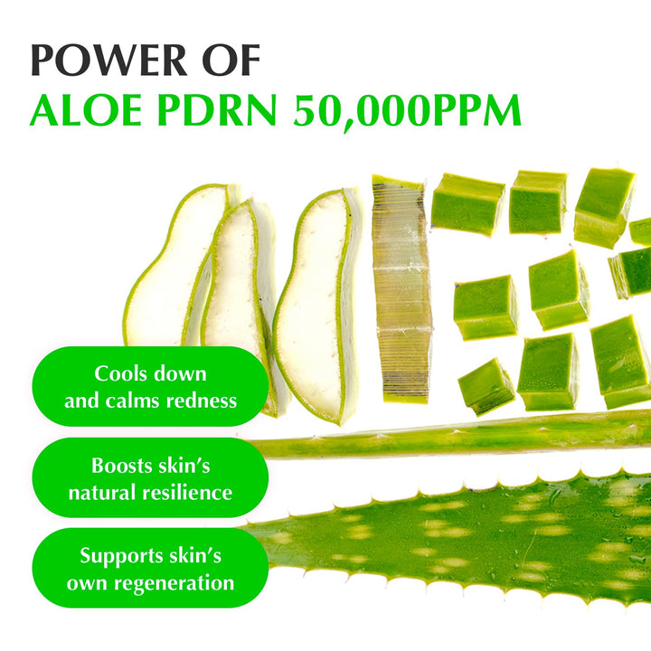 EQQUAL BERRY Green Aid Aloe PDRN Calming Serum - 30ml | إي كوال بيري سيروم مهدئ جرين إيد بالألوفيرا – 30 مل