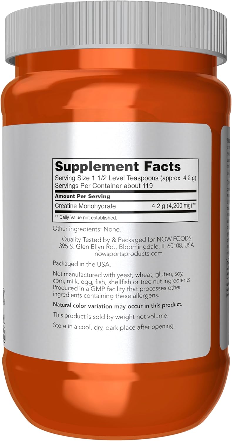 now Sports Micronized Creatine Monohydrate Powder - 500g | ناو مسحوق الكرياتين للرياضيين - 500 غ