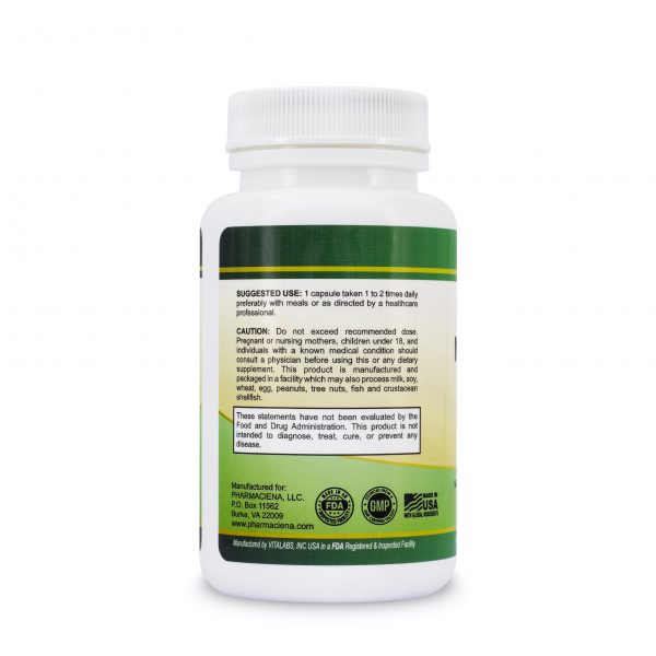 Pharmaciena Magnesium 500mg High Potency, 60 Capsules - 500mg | فارماسينا كبسولات المغنزيوم بجرعة 500 مغ - 60 كبسولة