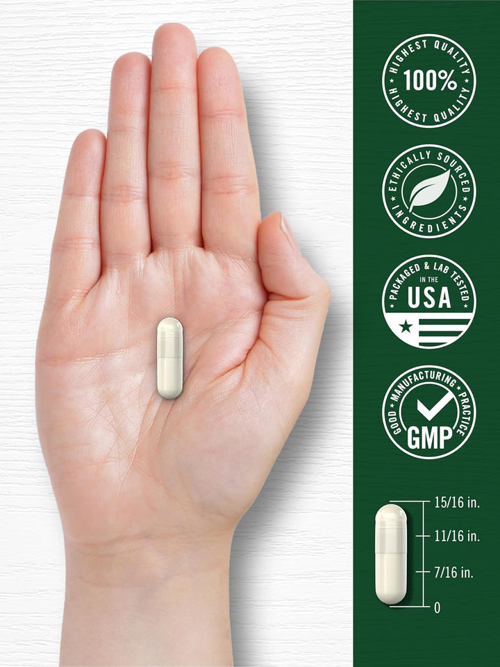 CARLYLE Magnesium Glicynate + Ashwagandha Complex 2740mg - 120 Vegetarian Capsules | كارلايل مغنيسيوم غليسينات + مركب أشواغاندا 2740 ملغ - 120 كبسولة نباتية