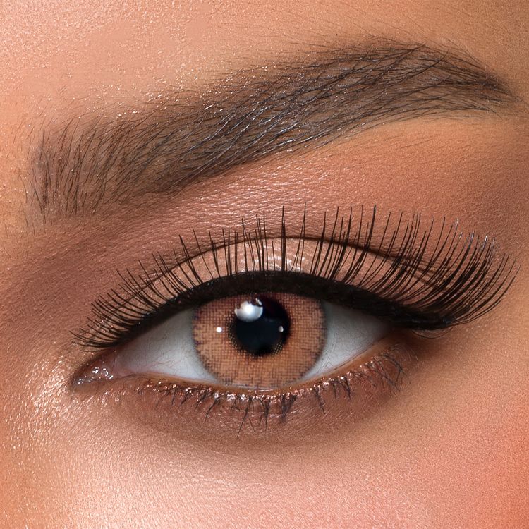 Anesthesia Lenses Once | أنستازيا عدسات ملونة يومية