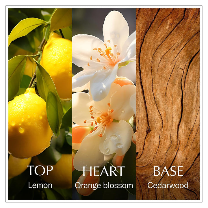 CHANSON Lemon Sicily EDT - 100ml | شانسون عطر الليمون للنساء - 100 مل