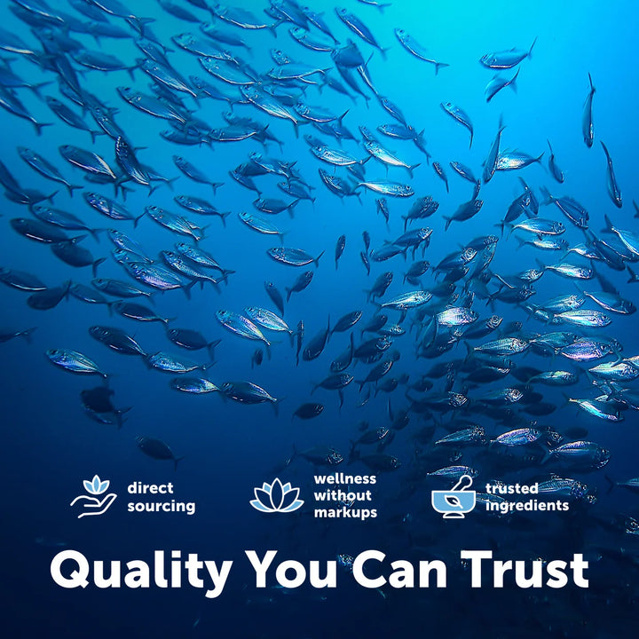 Microingredients Tripe Strength Omega 3 Fish Oil 4200mg - 120 Softgels | مايكرو انجريديانز زيت السمك أوميغا 3 ثلاثي القوة 4200 ملغ - 120 كبسولة هلامية