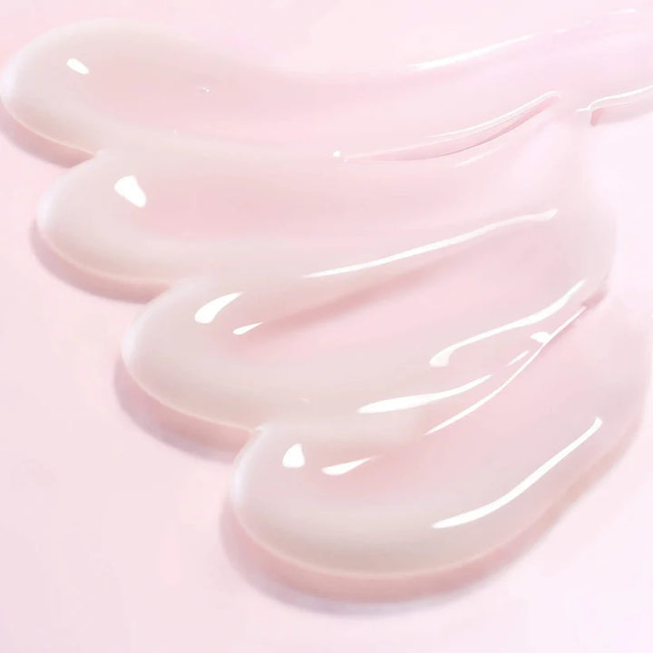 ROUND LAB Camellia Deep Collagen Firming Cream - 50ml |راوند لاب كامليا كريم شد الكولاجين العميق - 50مل