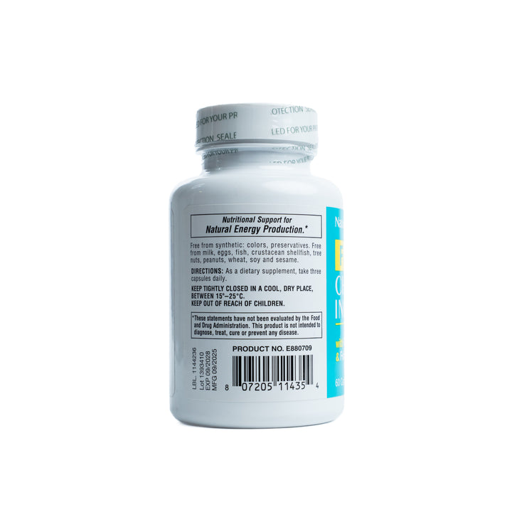 Natures Plus Forte Choline & Inositol - 60 Capsules |  ناتشرز بلس فورت كولين وإنوزيتول - 60 كبسولة