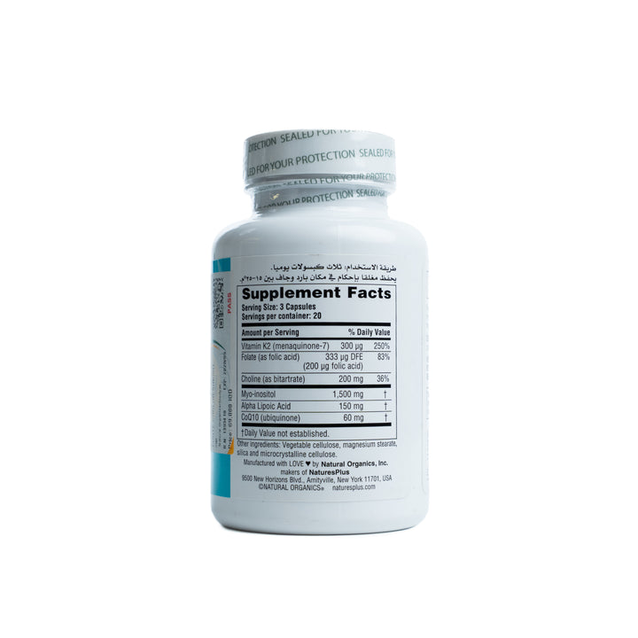 Natures Plus Forte Choline & Inositol - 60 Capsules |  ناتشرز بلس فورت كولين وإنوزيتول - 60 كبسولة