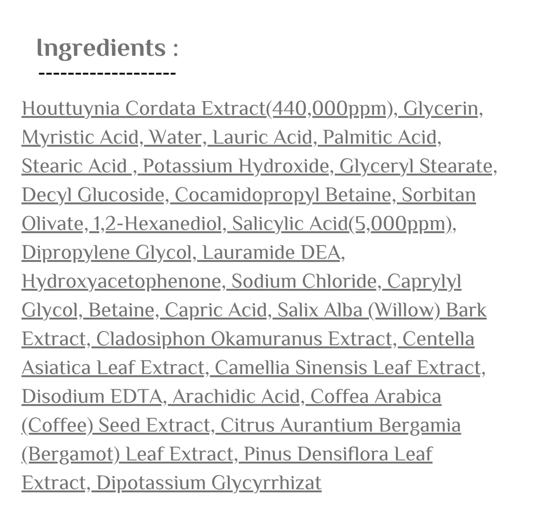 NINE LESS A-Control Heartleaf & BHA Cleanser -  120ml | ناين ليس غسول رغوي بأحماض ال Bha - 120 مل