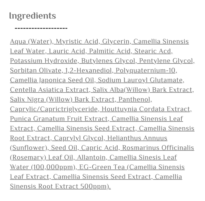 BENTON Deep Green Tea Cleansing Foam - 120g | بينتون غسول رغوي بشجرة الشاي الأخضر - 120 غرام