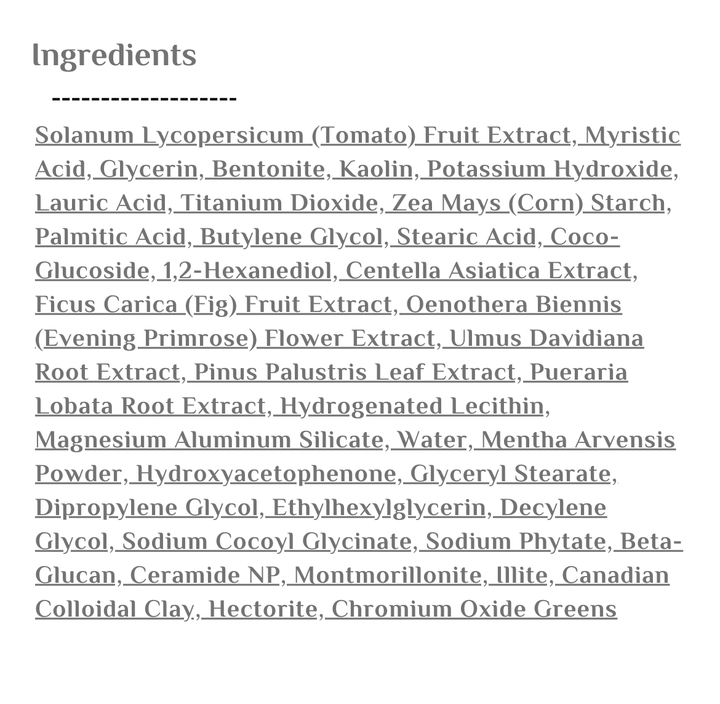 FULLY Green Tomato Clay Pack Cleanser - 120ml | فولي غسول الطماطم الخضراء - ١٢٠ مل