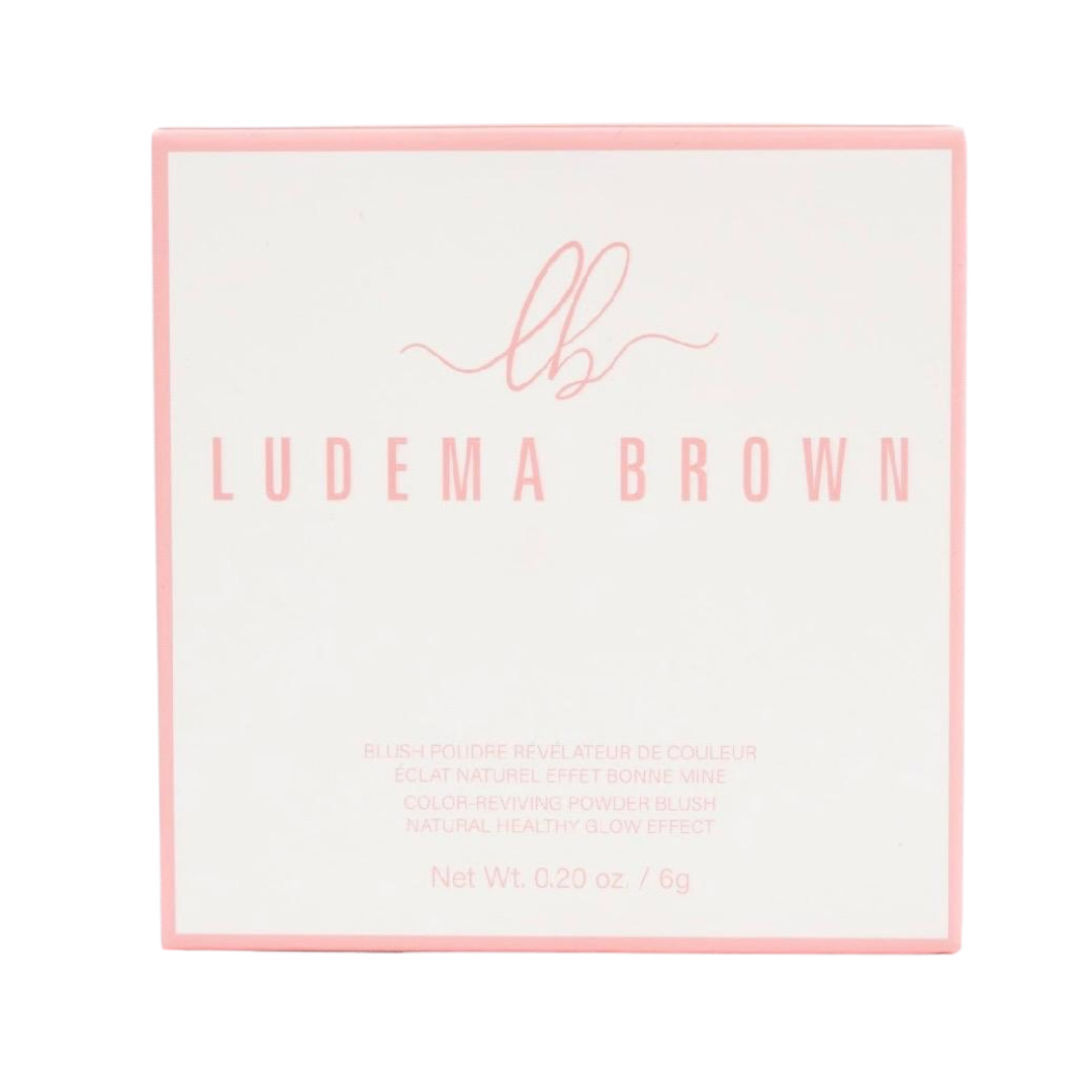 Ludema Brown Color Reviving Powder Blush 6g in pink square compact box 