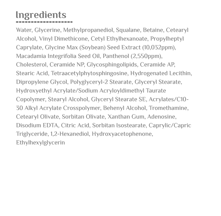ROUND LAB Soybean Panthenol Cream - 80ml | راوند لاب كريم بانثينول بفول الصويا - 80مل