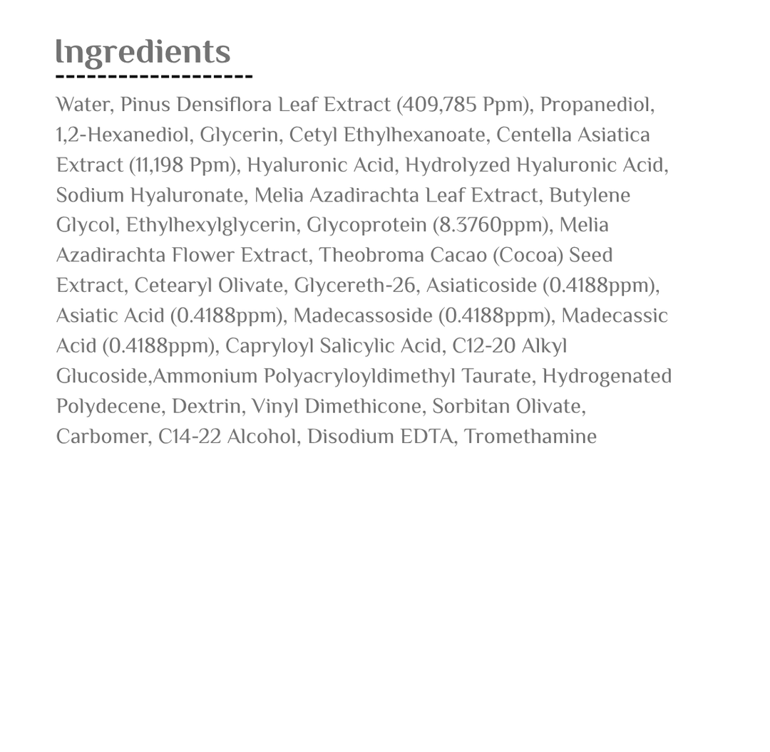 Round Lab Balsam pine Calming Cica - 250ml | راوند لاب لوشن الصنوبر والسيكا المهدئ - 250 مل