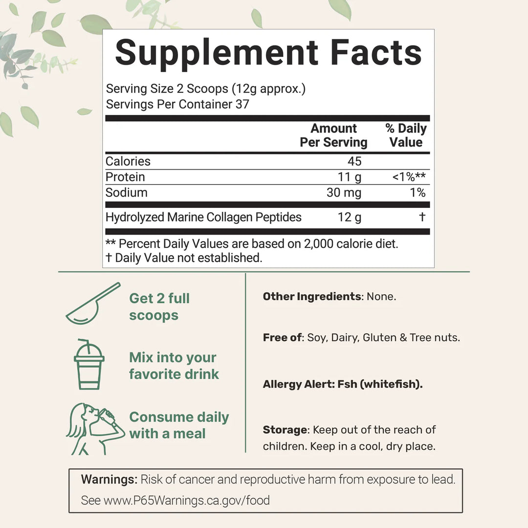 microingredients Marine Collagen Protein Powder - 454g | مايكرو انجريديانز كولاجين بحري بدون نكهة - 454غ