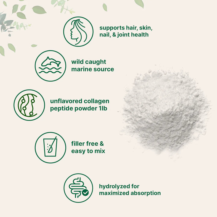 microingredients Marine Collagen Protein Powder - 454g | مايكرو انجريديانز كولاجين بحري بدون نكهة - 454غ