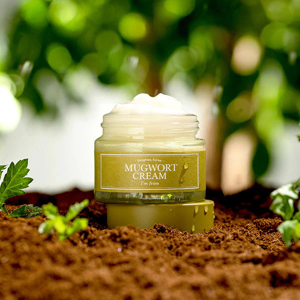 I'm From Mugwort Cream - 50g | اي ام فروم كريم مرطب - 5- غرام