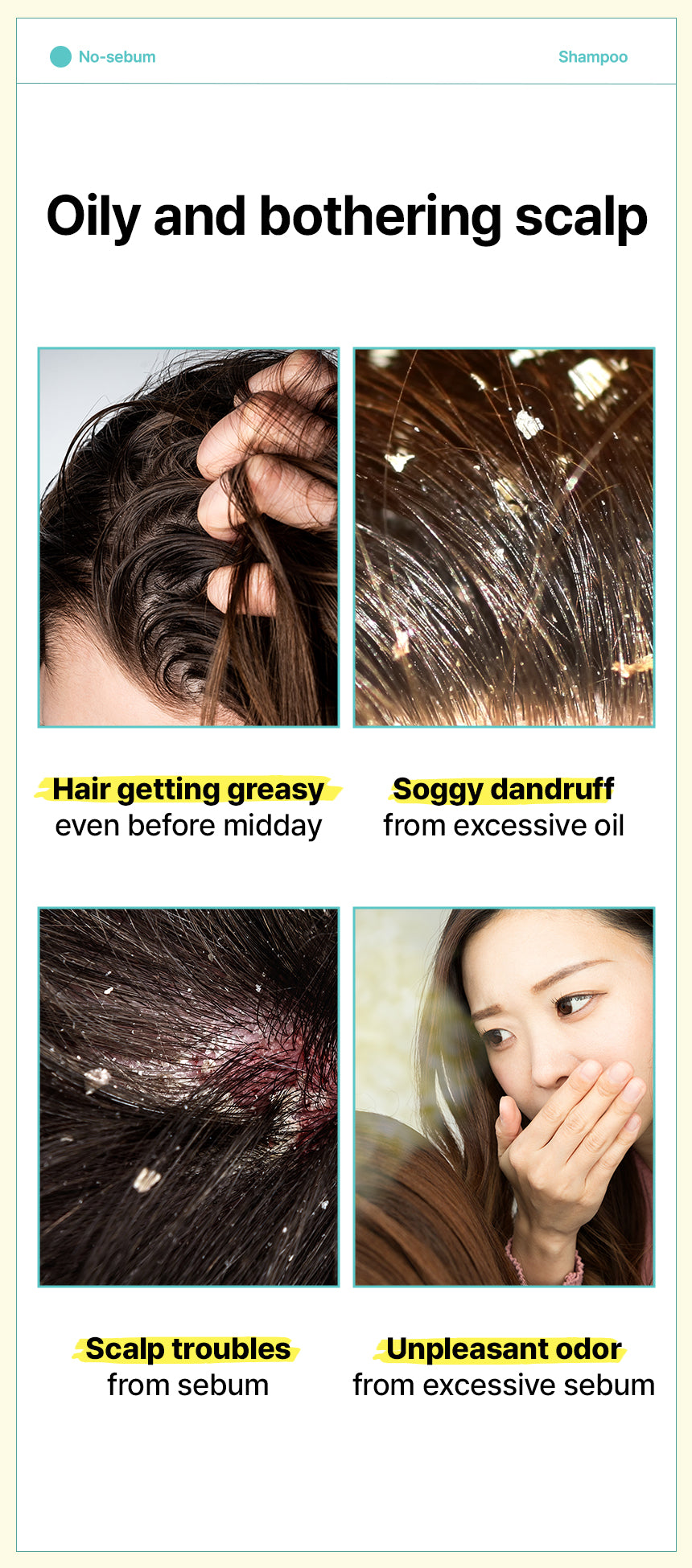 DR+ BANGGIWON No Sebum Shampoo - 1000ml | د + بانجيون شامبو مضاد للفروة الدهنية - 1000 مل