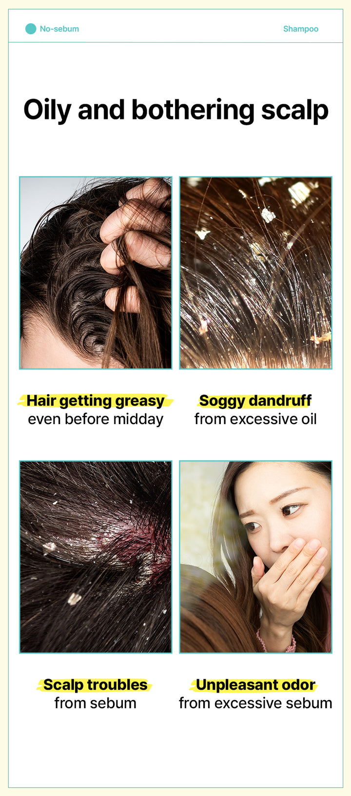 DR+ BANGGIWON No Sebum Shampoo - 1000ml | د + بانجيون شامبو مضاد للفروة الدهنية - 1000 مل