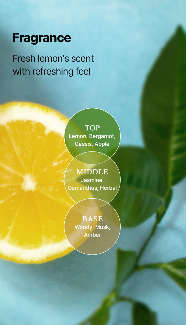 DR+ BANGGIWON No Sebum Shampoo - 1000ml | د + بانجيون شامبو مضاد للفروة الدهنية - 1000 مل
