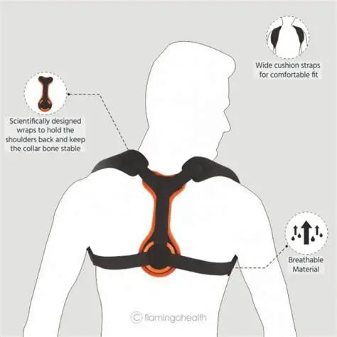 Clavicle Brace XL |  مشد للظهر قياس اكس لارج