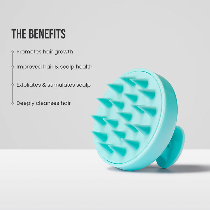 Tools & Cases massage brush | فرشاة مساج لفروة الرأس
