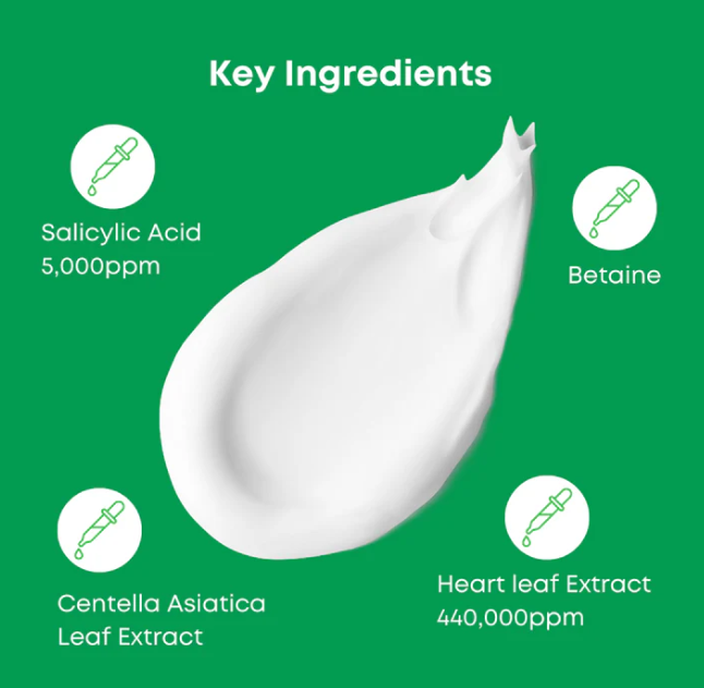 NINE LESS A-Control Heartleaf & BHA Cleanser -  120ml | ناين ليس غسول رغوي بأحماض ال Bha - 120 مل
