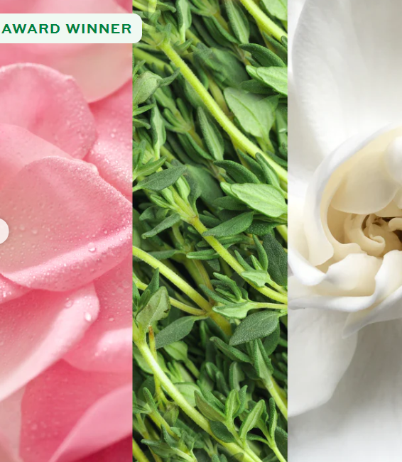 MARIO BADESCU Facial Spray With Aloe  Herbs and Rosewater | ماريو باديسكو بخاخ مرطب للبشرة بالالوفيرا و ماء الورد