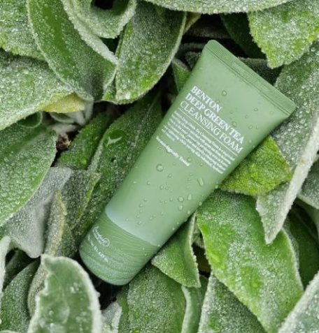 BENTON Deep Green Tea Cleansing Foam - 120g | بينتون غسول رغوي بشجرة الشاي الأخضر - 120 غرام
