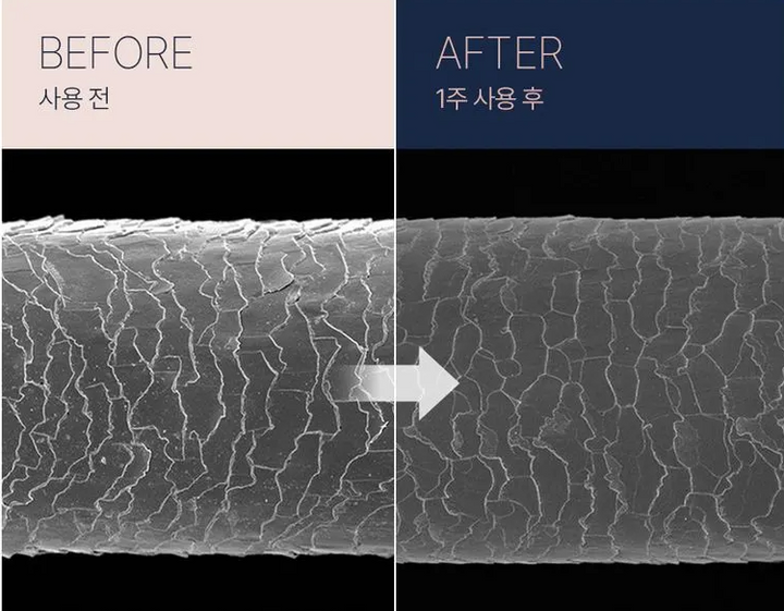 UNOVE DEEP DAMAGE REPAIR SHAMPOO - 500ml | يونوف شامبو مرمم للشعر المتضرر - ٥٠٠ مل