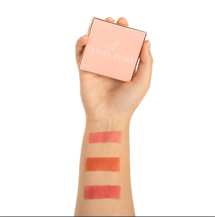 LUDEMA BROWN Blush Pouder Revelateur De Couleur 6g | لوديما براون أحمر خدود – 6 غرام