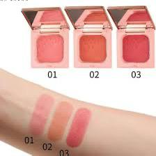 LUDEMA BROWN Blush Pouder Revelateur De Couleur 6g | لوديما براون أحمر خدود – 6 غرام