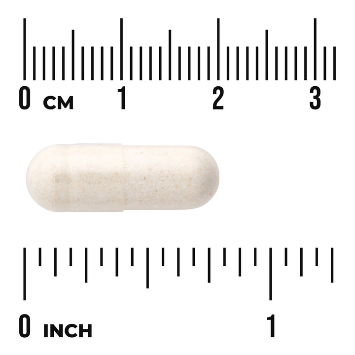 Swanson Zinc Carnosine - 60 capsules | سوانسون زنك كارنوزين - 60 كبسولة