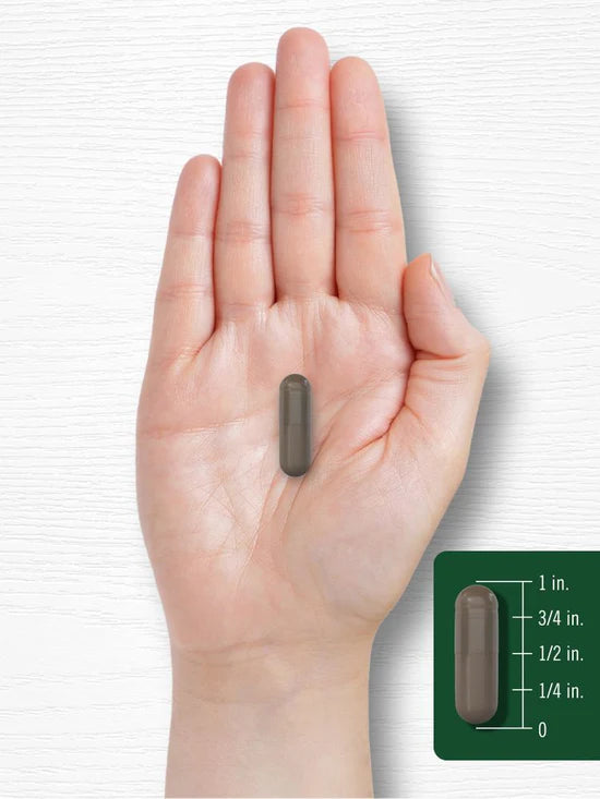 Carlyle Shilajit 2000 mg - 90 Capsules | كارلايل شيلاجيت 2000 ملغ – 90 كبسولة