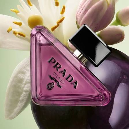 PRADA PARADOXE SWEET CHEMISTRY EDP 90ml| برادا عطر برادا بارادوكس سويت كيمستري للنساء  - 90مل