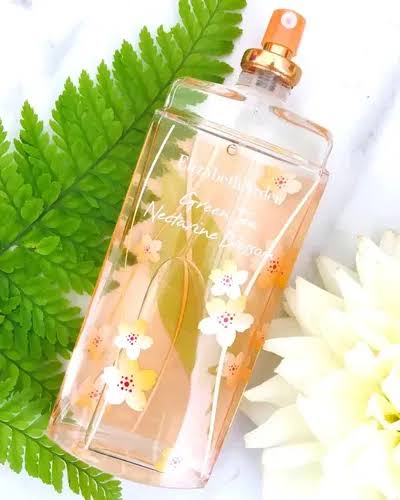 Elizabeth Arden Green Tea Nectarine Blossom EDT - 100ml | اليزابيث اردن عطر كرين تي نكتارين بلوسوم - 100 مل