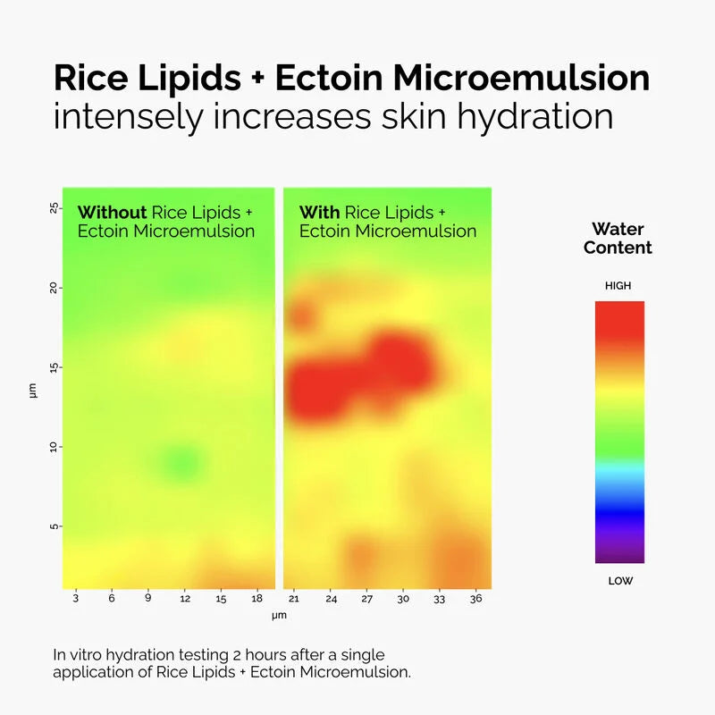 The Ordinary Rice Lipids + Ectoin Microemulsion - 120ml | ذا أورديناري سيروم لترطيب و ترميم البشرة - 120مل