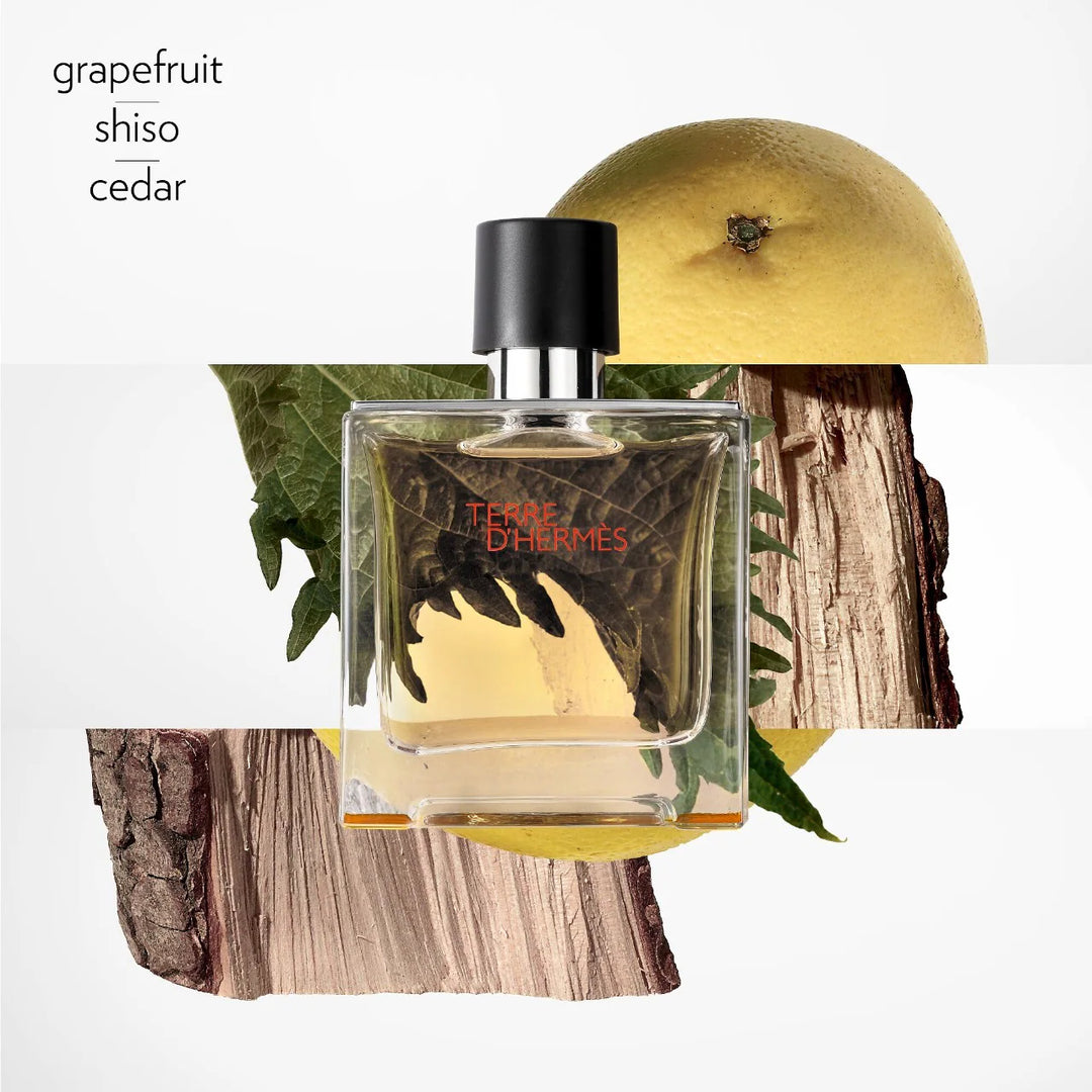 HERMES Terre D'hermes Parfum - 200ml | عطر تيري دي هيرمس بارفان للرجال - 200 مل