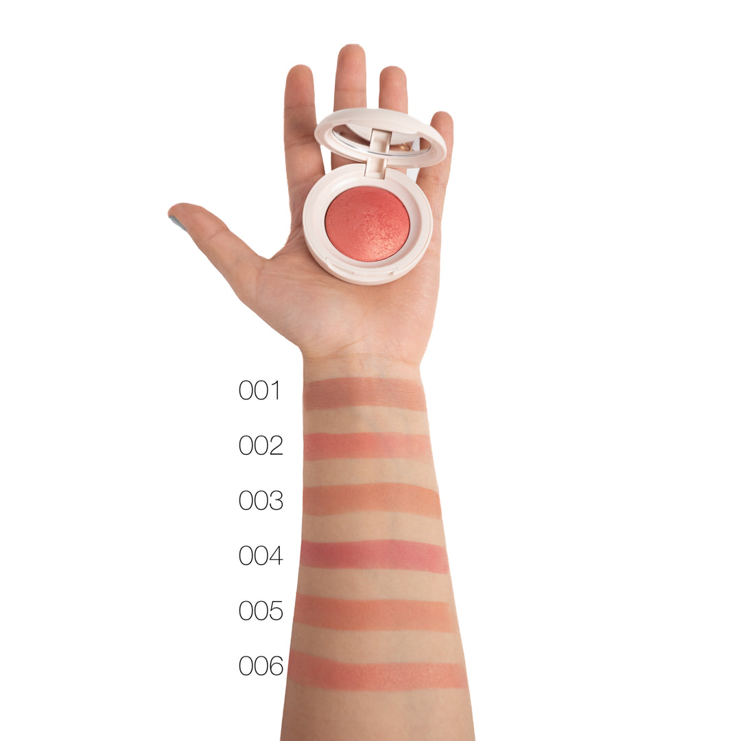 topface Prohd Natural Glow Baked Blush - 4g | توب فيس بلاش - 4غ