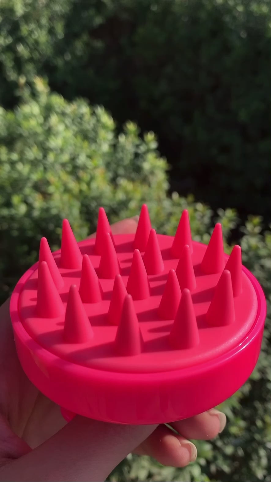 Curltastic Shampoo Massage Brush 8 cm raspberry - crimson | كيرلتاستيك فرشاة مساج للشعر ٨ سم