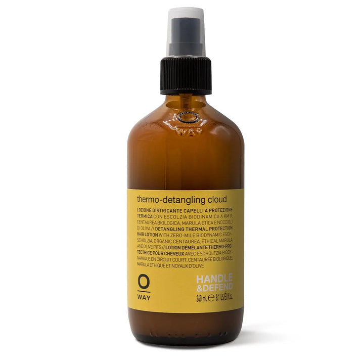 Thermo Detangling Cloud - 240ml